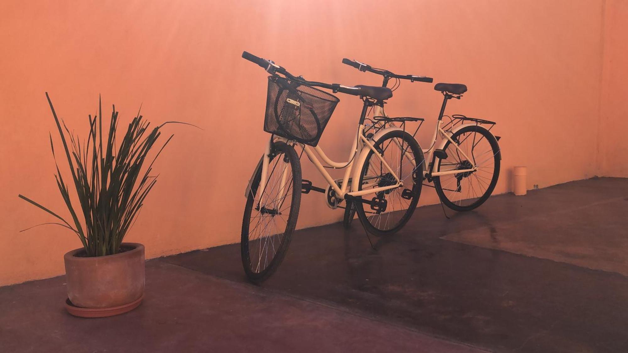 Tres Iguanas Apart Hotel - New, Cozy & Spacious Flats, Short Walk To Beach 로레토 외부 사진
