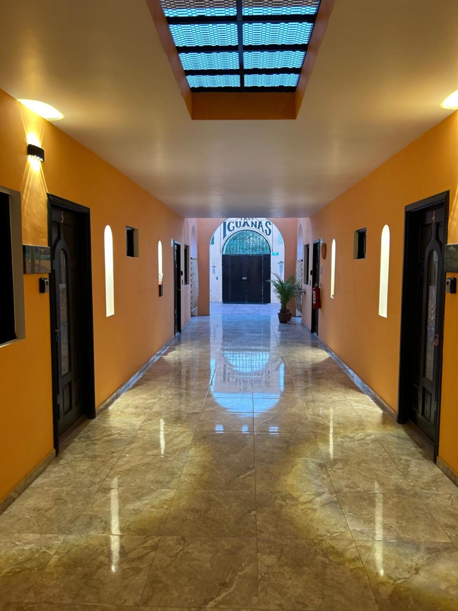 Tres Iguanas Apart Hotel - New, Cozy & Spacious Flats, Short Walk To Beach 로레토 외부 사진